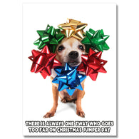 Christmas Jumper Card